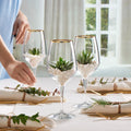 Napa Golden Touch  6 PCS (TRANSPARENT)