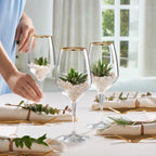 Napa Golden Touch  6 PCS (TRANSPARENT)