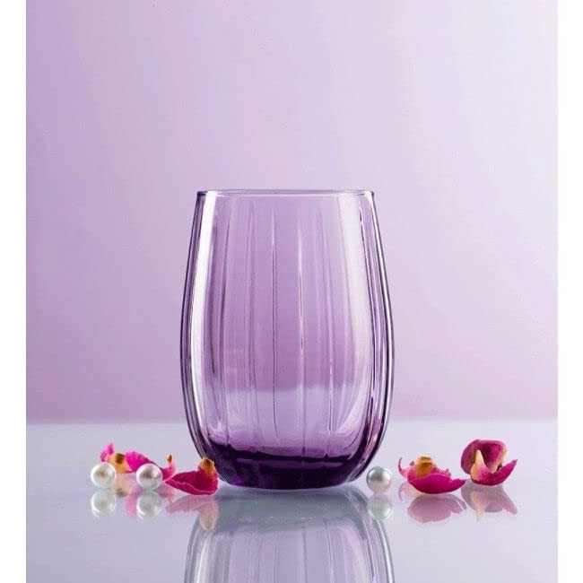 Linka Medium Tumbler Set of 6 Pcs (Purple)