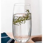 Linka Tumbler Set of 6 Pcs (Transparent)