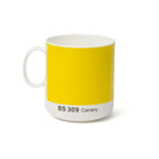 Pantone Mug