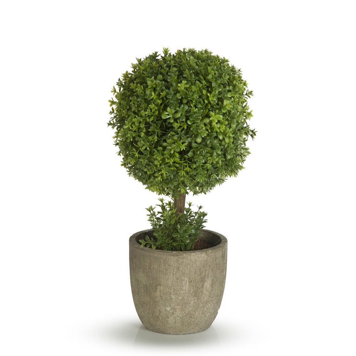 Bonsai with Vase