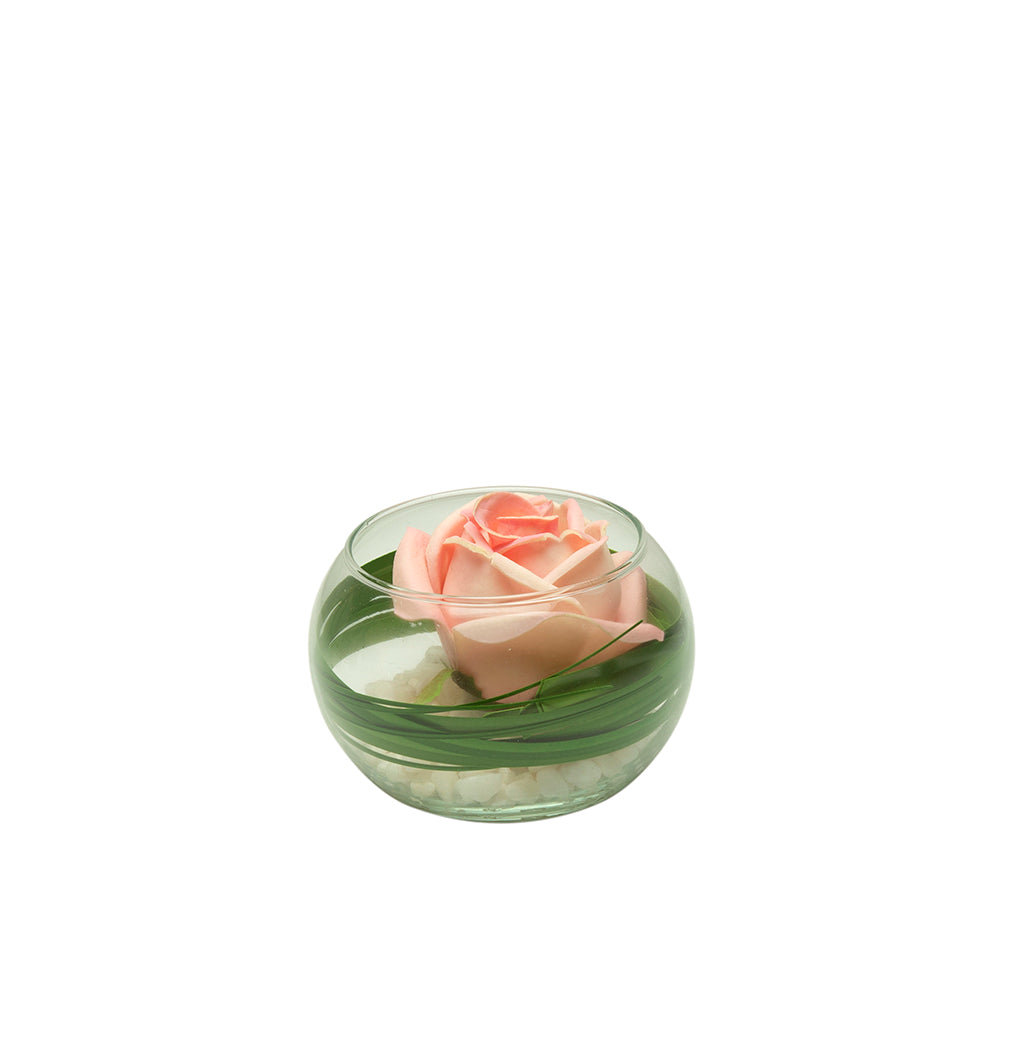 Rose in a Glass