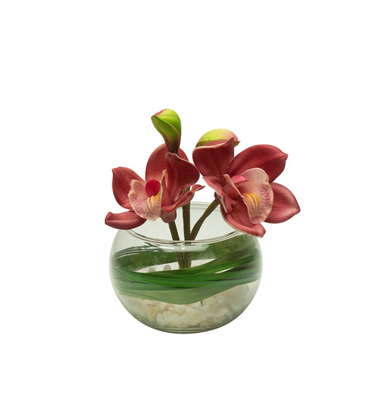 Tulip in a Glass